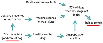 Evaluation of Community-Based Dog Welfare and Rabies Project in Sanur, a Sub-district of the Indonesian Island Province of Bali